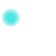 장점