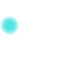 장점