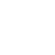 장점