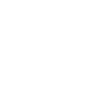 장점