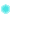 장점