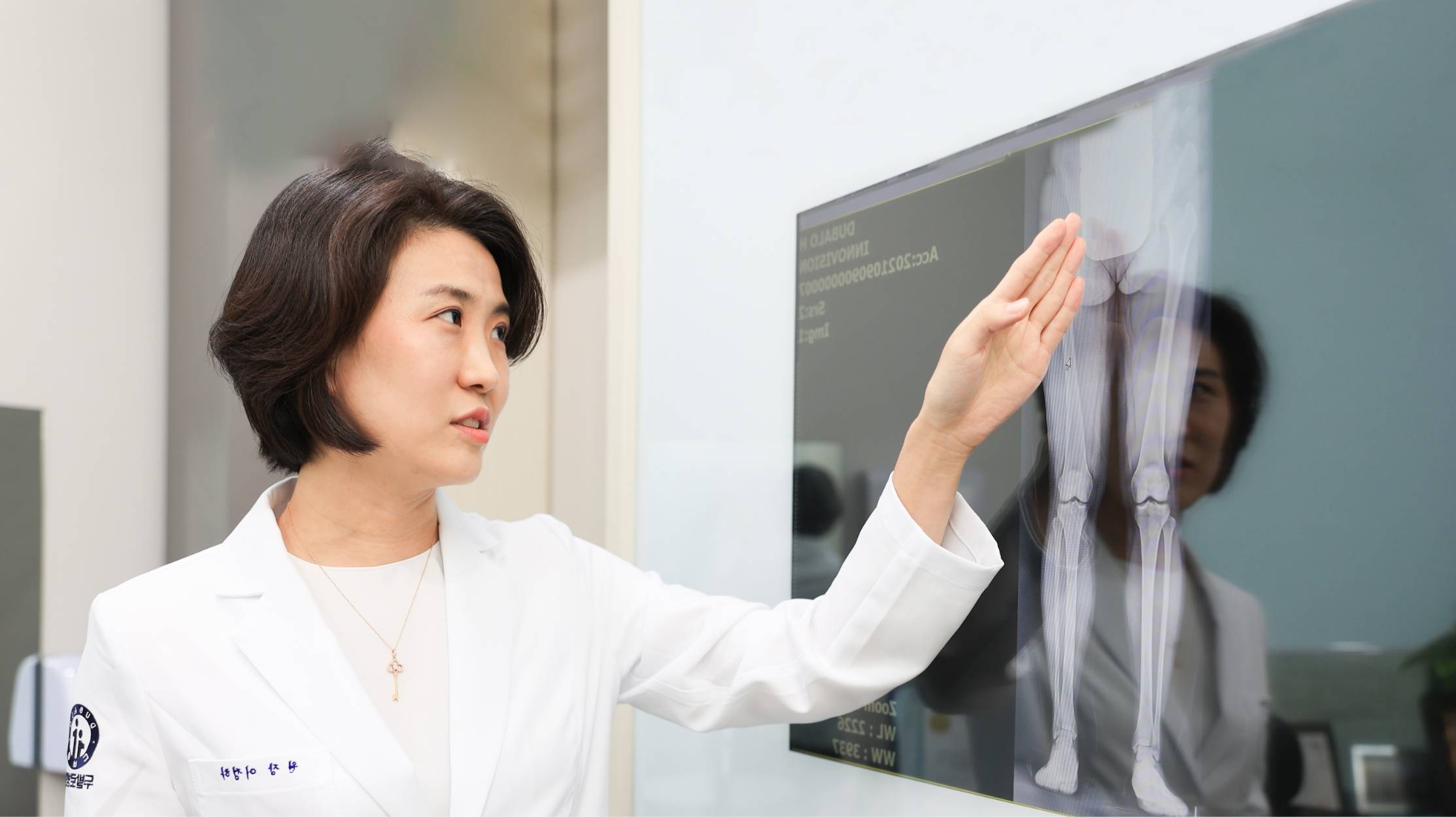 레이어